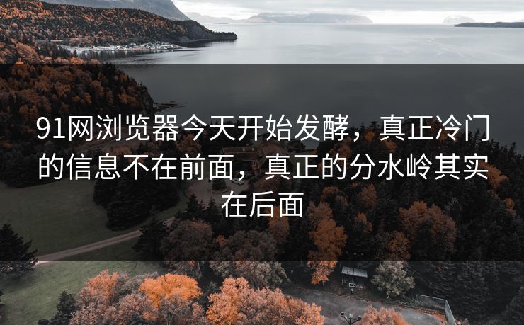 91网浏览器今天开始发酵，真正冷门的信息不在前面，真正的分水岭其实在后面